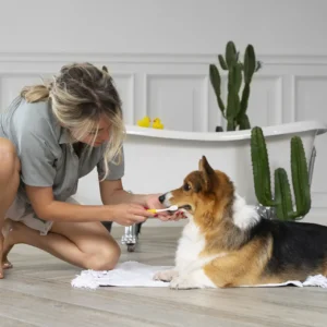 Limpieza Dental Canina y Felina sin Anestesia